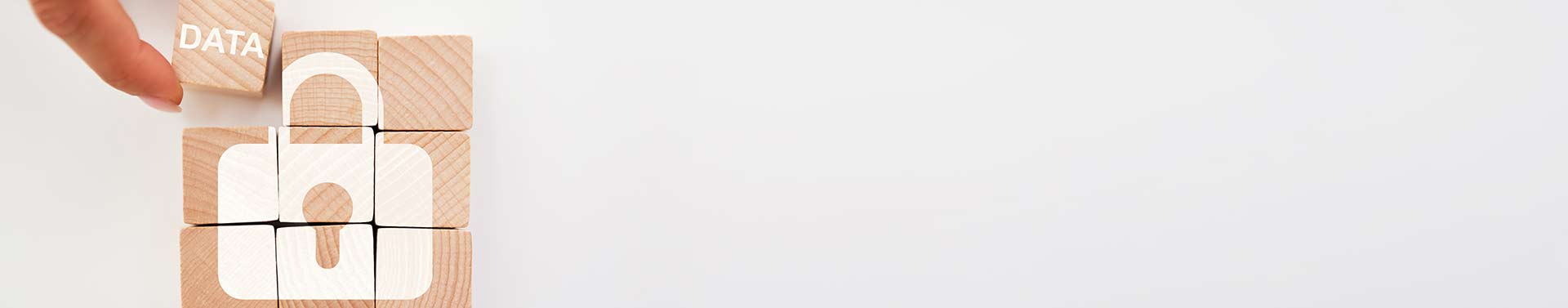 banner-privacy-policy
