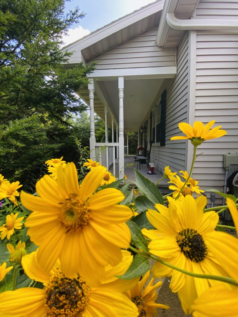 Front deck 