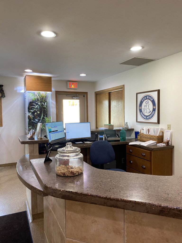 Commercial painting: interior